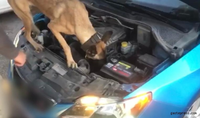 Narkotik Arama Köpeği ‘Eta' tacirlere geçit vermedi: 2 gözaltı!