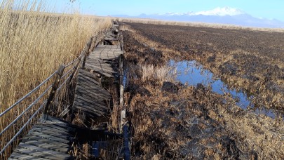 Yangında zarar gören Sultan Sazlığı Milli Parkı'nın yürüyüş yolu, tadilat bekliyor!