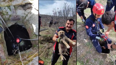 Kuyuya düşen minik köpeği itfaiye ekipleri kurtardı!