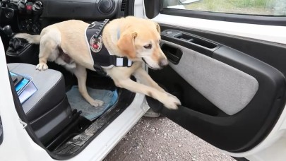 Uyuşturucu tacirleri film sahnelerini aratmayan operasyonla yakalandı!