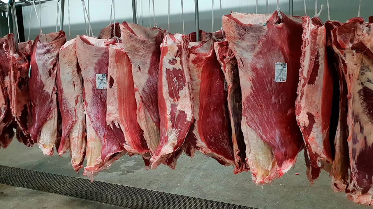Fiyatından yanına yaklaşılamayan etin üretimi de sert düştü!