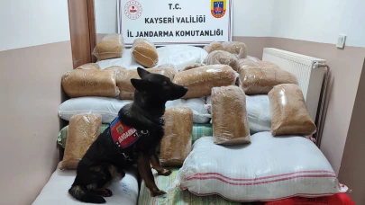 Yolcu otobüsünde 1 buçuk ton kaçak tütün yakalandı!
