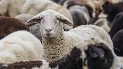 Bakan açıkladı: Kurban Bayramı tatili 9 gün olacak mı?