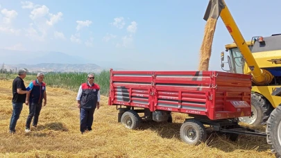Denizli'de buğday hasadı başladı!