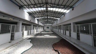 Kayseri'de 500 hayvan kapasiteli yeni bir barınak inşa ediliyor!