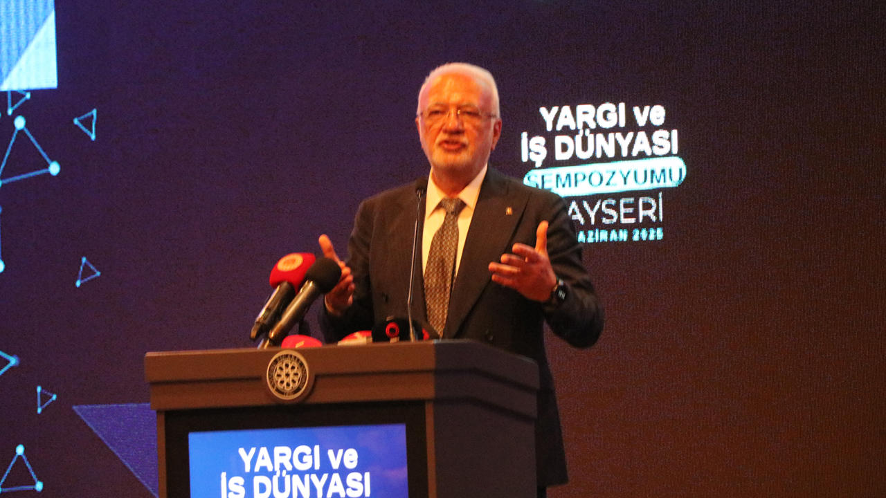 Elitaş: "Ülkemiz Büyüdükçe Sosyalist Enternasyonal'deki Temsil Gücümüz Arttı"