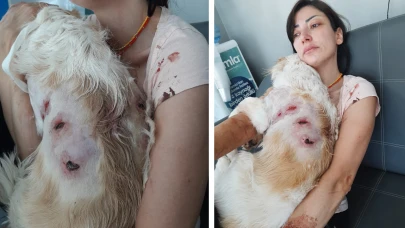 Bursa'da kangal dehşeti yaşandı!
