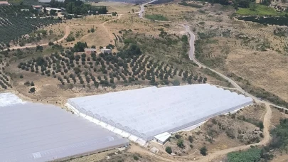 Beş ilde orman yangını başladı!