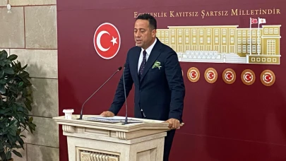 CHP'li Başarır: Zeytin ağaçlarının yerini değiştirmeyin!