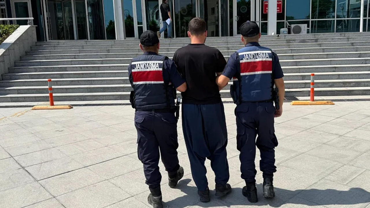 Orman yangınlarıyla ilgili 23 kişi gözaltına alındı, 4'ü tutuklandı! Yangınların çıkış sebepleri de belli oldu!