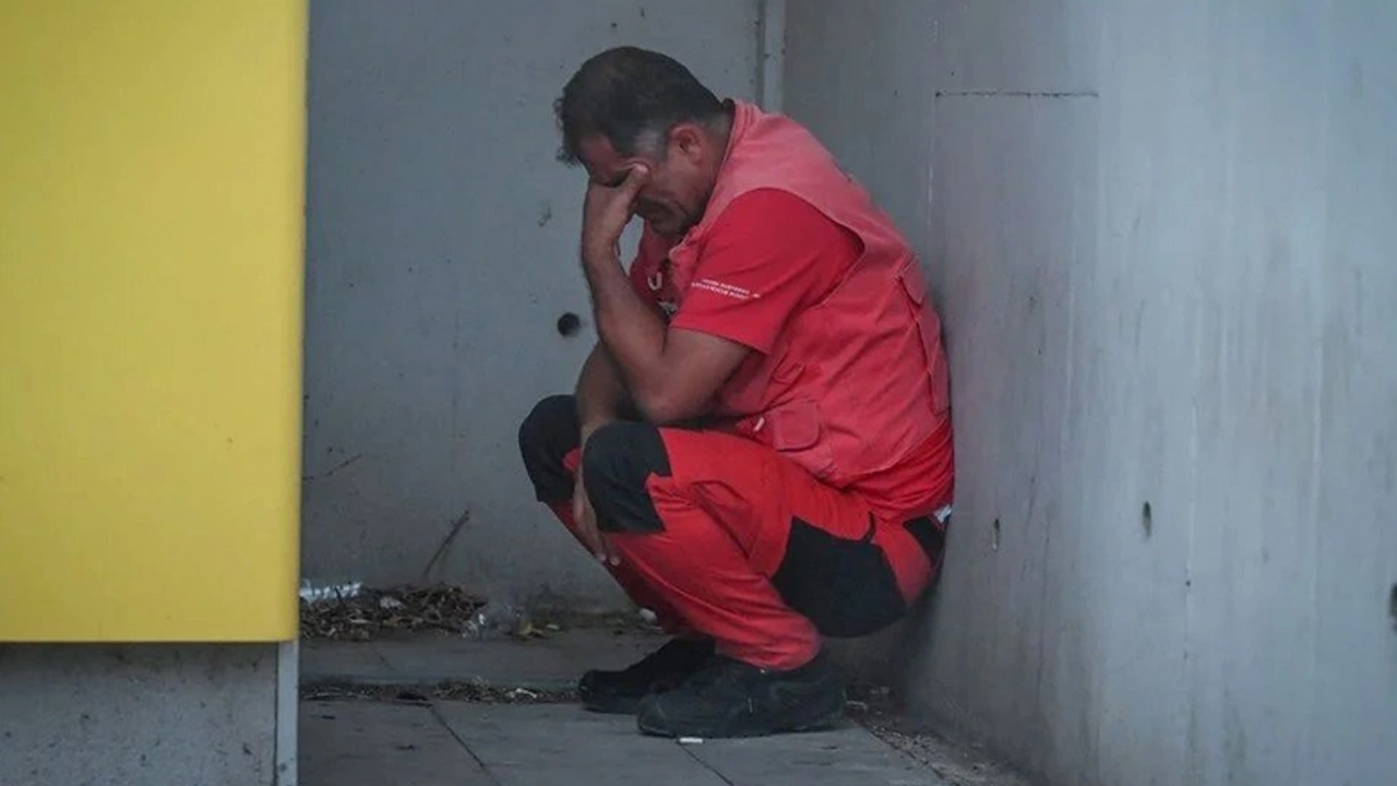 Kimi mühendisti kimi yeni evli! Geride yetim bırakan da var işte orman şehitlerimiz!