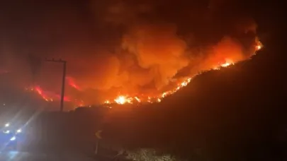 Bursa'da orman yangını: Karahıdır Mahallesi tahliye edildi!