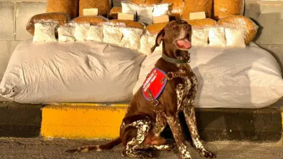 Otobüste 450 kilogram kaçak tütün ele geçirildi!