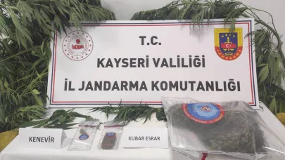 Kayseri’de 7 kök kenevir ele geçirildi!