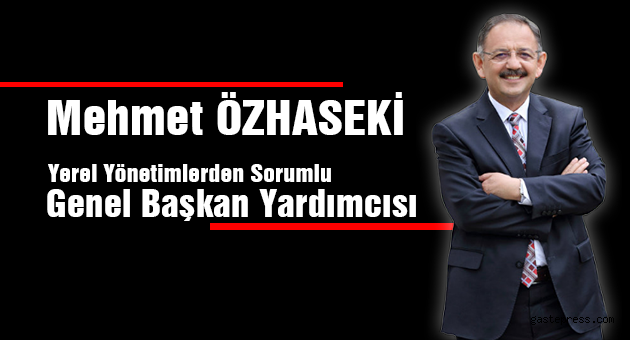 Mehmet ÖZHASEKİ : Genel Başkan Yardımcısı