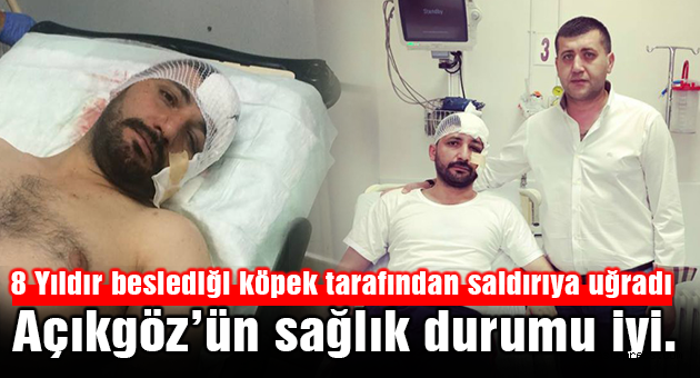 Beslediği köpek tarafından saldırıya uğradı