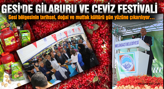 GESİ'DE GİLABURU VE CEVİZ FESTİVALİ