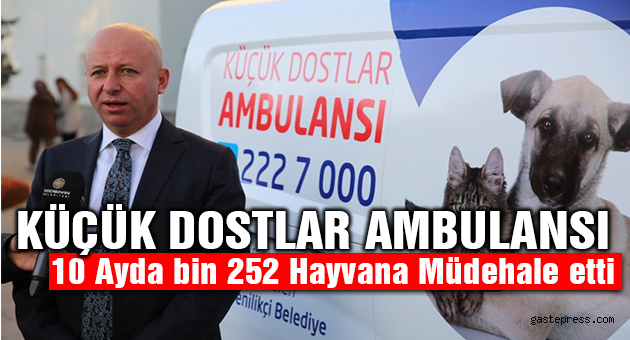 KOCASİNAN’IN KÜÇÜK DOSTLAR AMBULANSI BİN 252 CAN KURTARDI