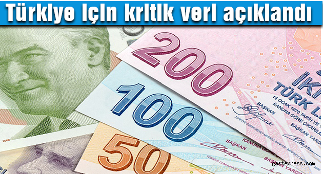 Türkiye için kritik veri açıklandı