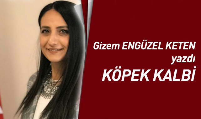 Köpek Kalbi