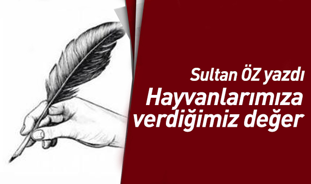 Hayvanlarımıza Verdiğimiz Değer!