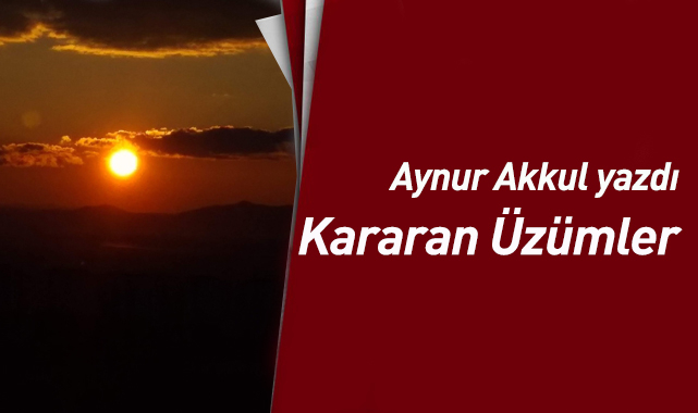 Kararan Üzümler