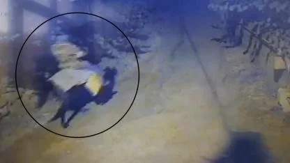 Atla geldi, yaşlı çifti öldürüp kaçtı!