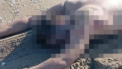 Sakarya’da sahilde çıplak erkek cesedi bulundu!