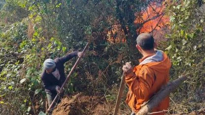 Artvin Hopa’da 5 Hektarlık Alan Küle Döndü: Yangınla Mücadele Sürüyor!