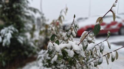 Kayseri’nin yüksek kesimlerine kar yağdı!