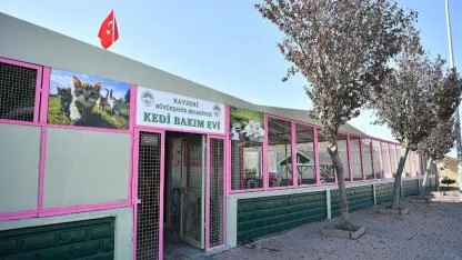 Kedi Bakım Evi örnek hizmet sunuyor!