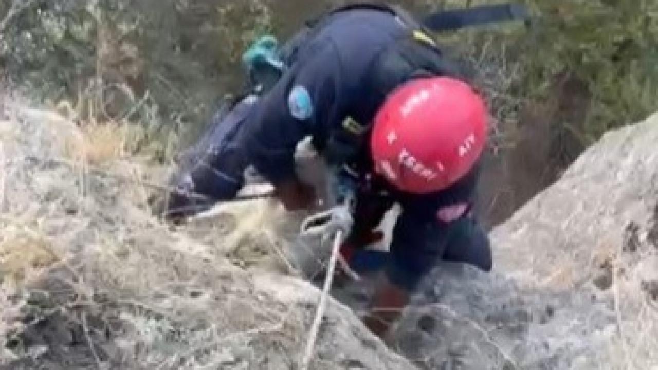 Uçurumda mahsur kalan keçi kurtarıldı!