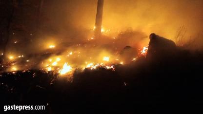 Bozyazı’daki Orman Yangını Kontrol Altına Alındı!