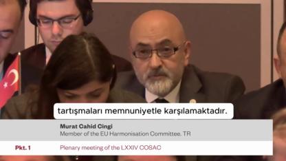 Milletvekili CINGI’den AB Toplantısında Sert Çıkış: “Bu Analoji Bir Saçmalıktır”