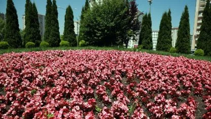 Talas 2026’da rengarenk olacak!