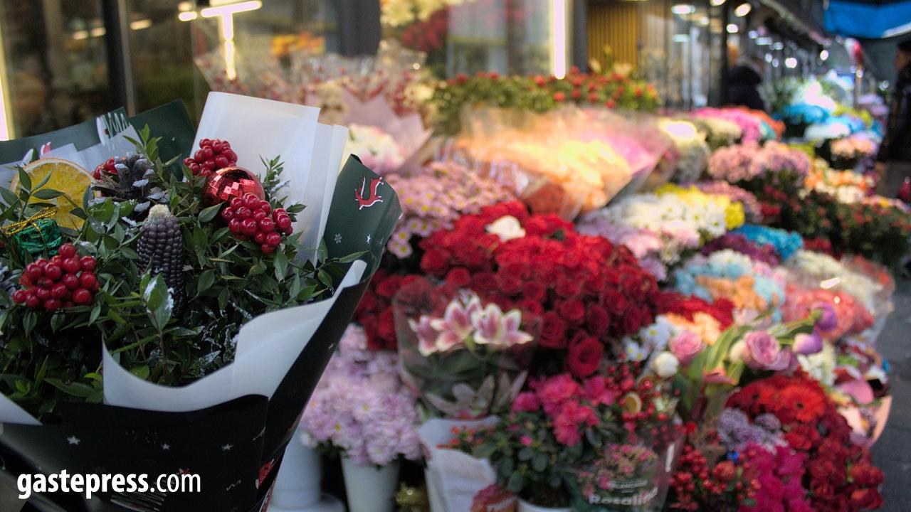 Yılbaşı Çiçeği Kokinaya Talep 3 Kat Arttı!