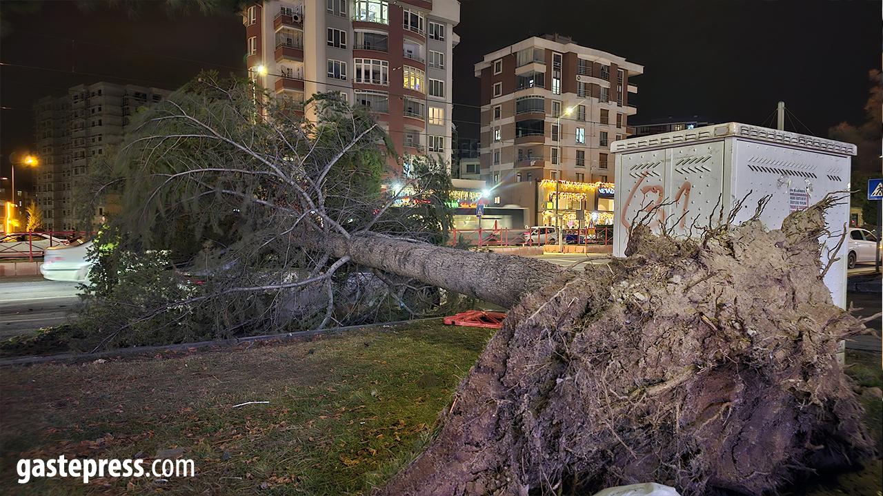 Kayseri’de Kuvvetli Rüzgar Etkili Oldu: Ağaç Otomobilin Üzerine Devrildi!