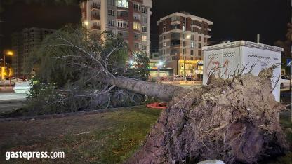 Meteoroloji’den Kayseri İçin Kuvvetli Rüzgar ve Fırtına Uyarısı!