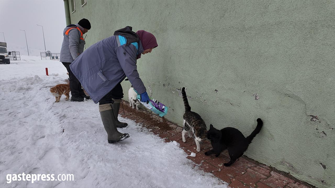Büyükşehirden ‘dilsiz dostlara’ merhamet eli: Soğuk günlerde sıcak bir dokunuş!