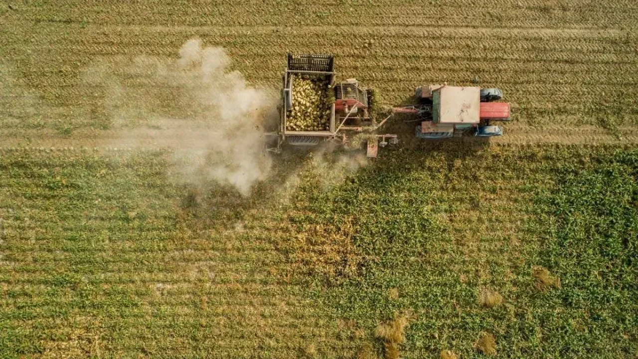 Kayseri Şeker, Sarıoğlan Çiftçisini Mağdur Etti: 3’lü Münavebe Aceleye Gelirse Tarım Çöker!