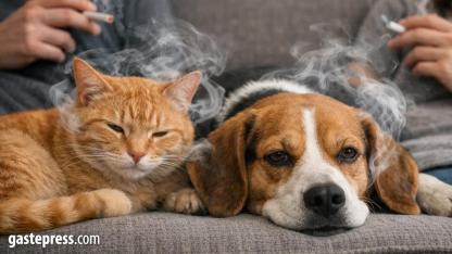 Evlerde içilen sigaranın evcil hayvanlara zararı belli oldu: Kanda 'yüksek nikotin' alarmı!