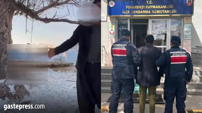 Kayseri’de Dehşet: Köpeği Ağaca Asarak Öldürdüğü İddia Edilen Çoban Gözaltında!