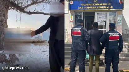 Kayseri’de Dehşet: Köpeği Ağaca Asarak Öldürdüğü İddia Edilen Çoban Gözaltında!