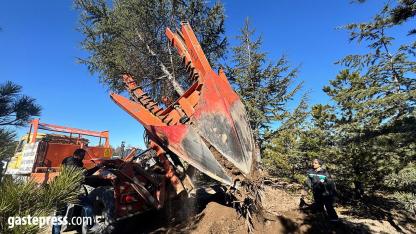 Kayseri’de Doğaya Duyarlı Ulaşım Yatırımı: Kartal Kavşağı Öncesi Ağaçlar Naklediliyor!
