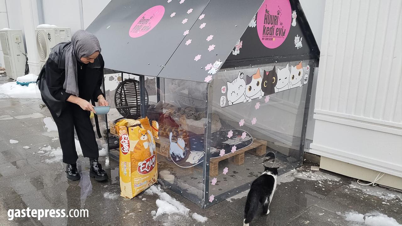 Kayseri’de Sokak Kedileri İçin Isıtmalı Yuva!