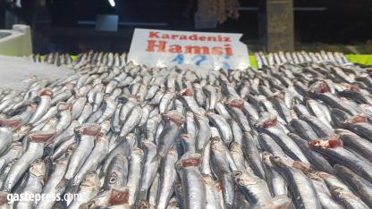 Soğuyan Hava Hamsiyi Geri Getirdi: Tezgâhlarda Bolluk, Fiyatlar Düştü!