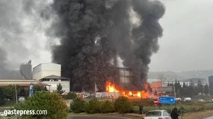 Trabzon’da Fındık Fabrikasında Yangın!