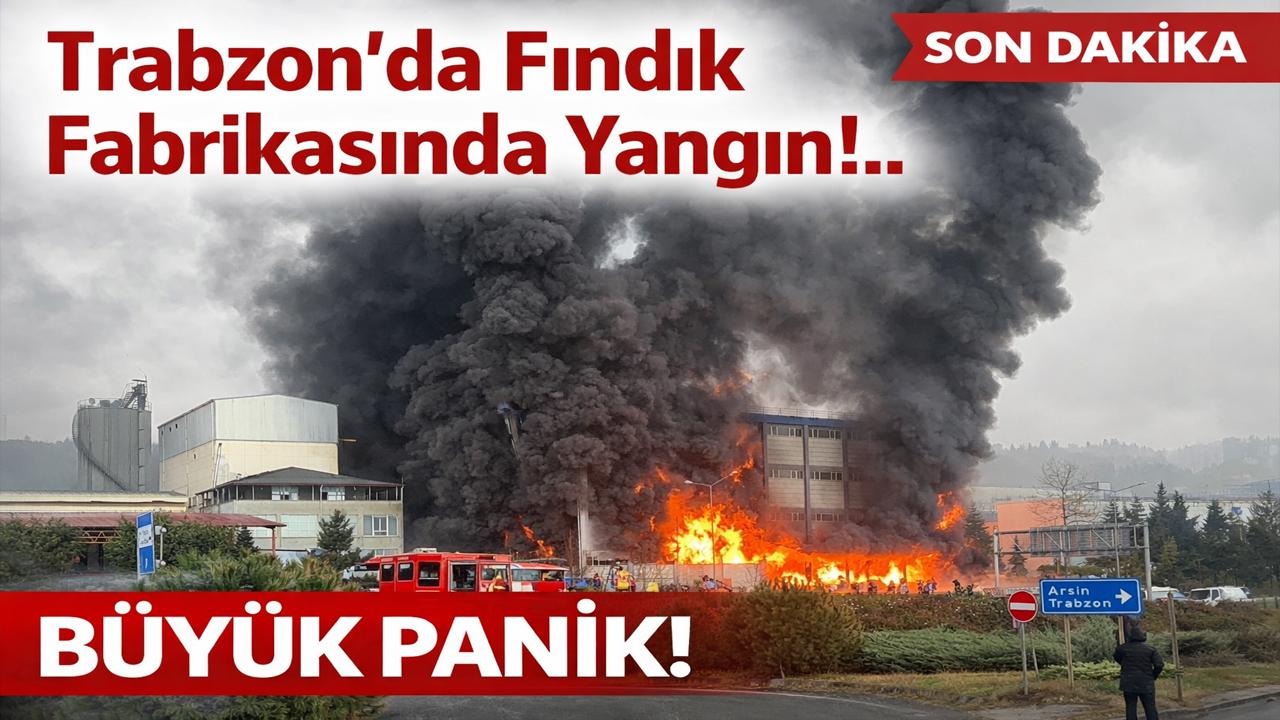 Trabzon’da Fındık Fabrikasında Yangın!