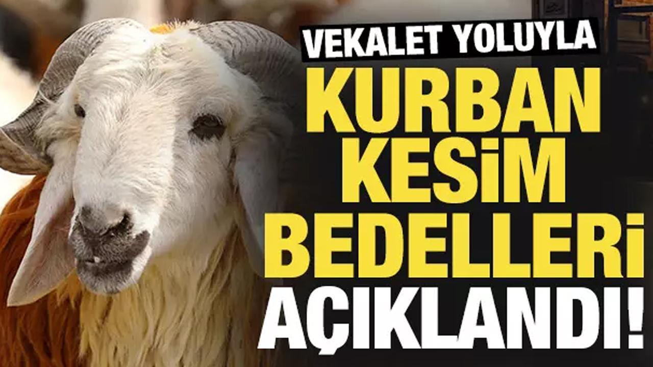 Diyanet açıkladı! 2026 vekaletle kurban kesim bedeli belli oldu!