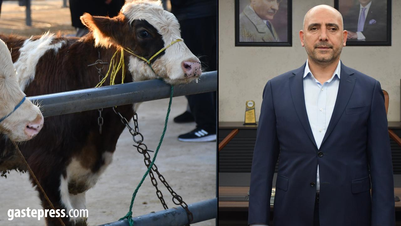 Kayseri’de Kurbanlık Tavsiye Fiyatları Açıklandı!